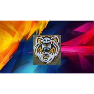 digitizing logo for embroidery